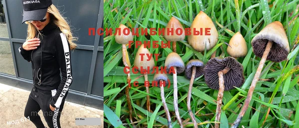 spice Заводоуковск