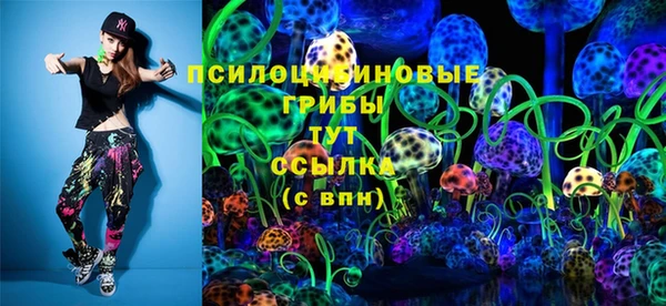 spice Заводоуковск