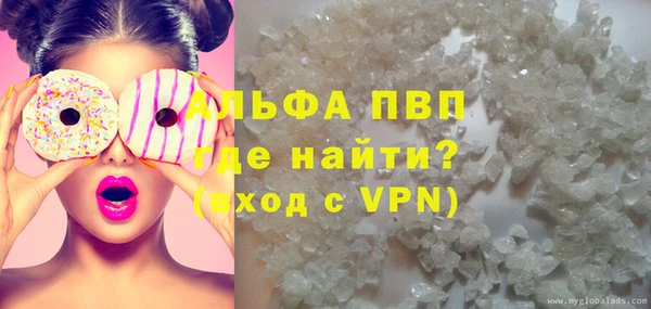 ГАЛЛЮЦИНОГЕННЫЕ ГРИБЫ Заволжье