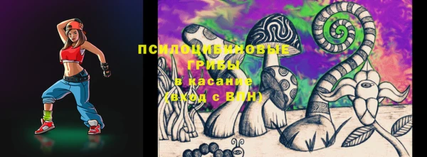 ГАЛЛЮЦИНОГЕННЫЕ ГРИБЫ Заволжье