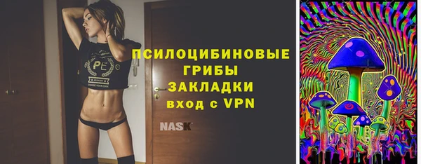 spice Заводоуковск