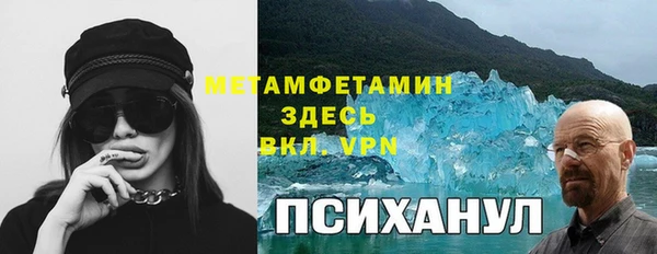 ГАЛЛЮЦИНОГЕННЫЕ ГРИБЫ Заволжье