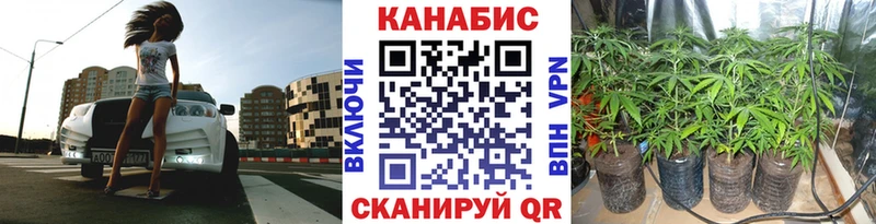 Марихуана план  Купить закладки  Каневская 